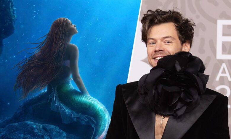 Harry Styles Turned Down Role in The Little Mermaid